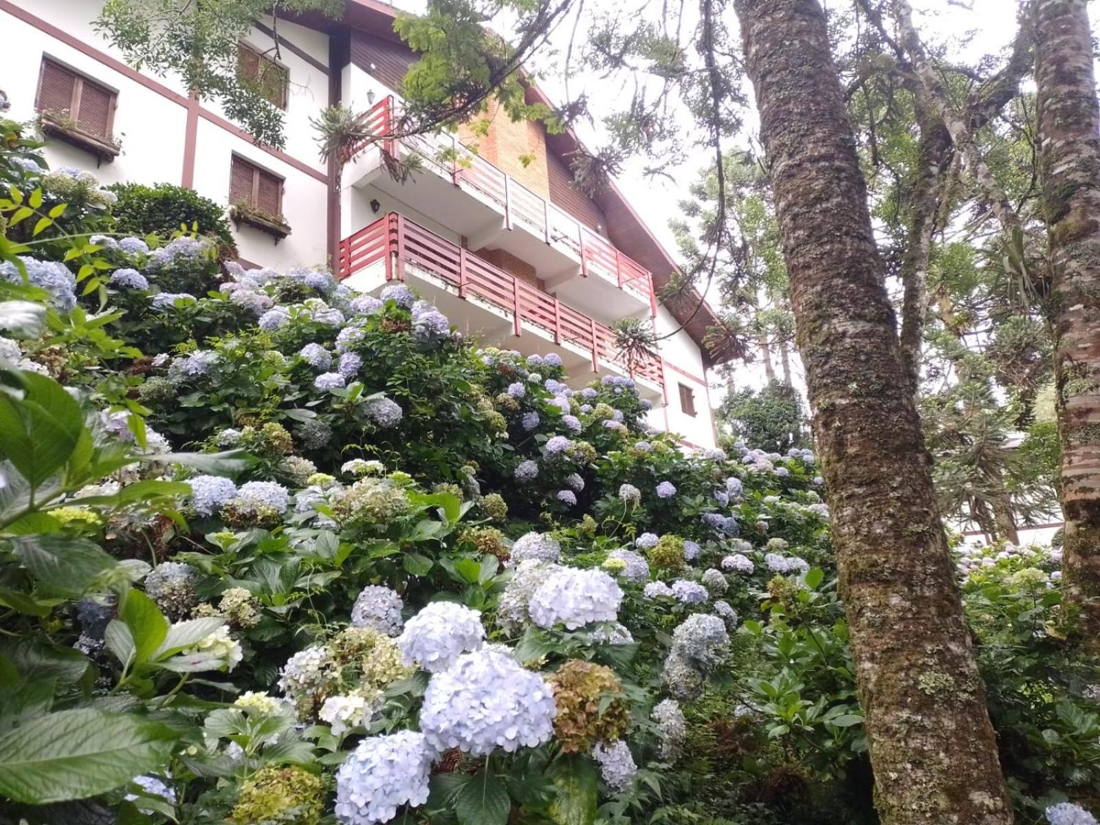 Apartamento Sossego Na Montanha De